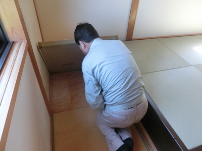 こんなの部屋に出たらオチオチ寝てられない（※虫が苦手な方は注意）|共栄建設株式会社