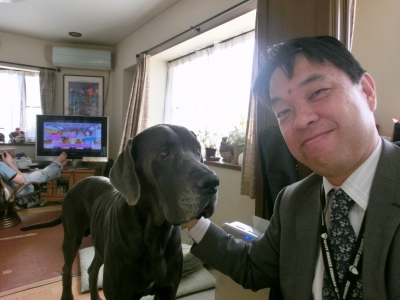 でっかい犬|共栄建設株式会社