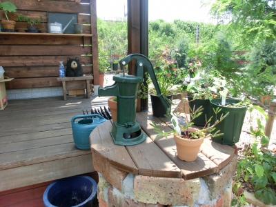 進歩するガーデニング|共栄建設株式会社