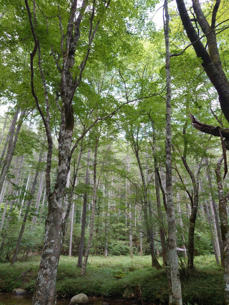 ちょっと休みます|共栄建設株式会社