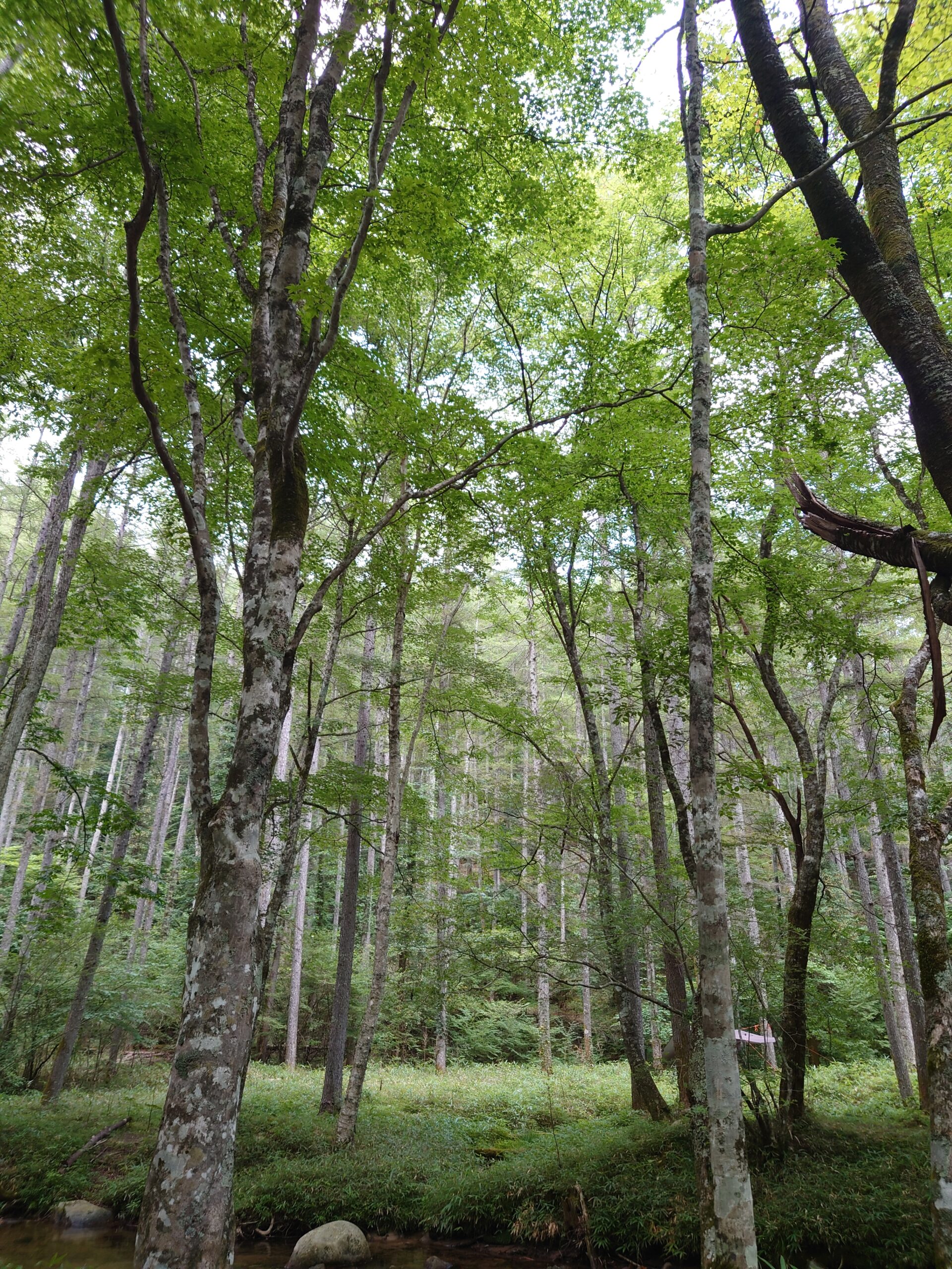 ちょっと休みます|共栄建設株式会社