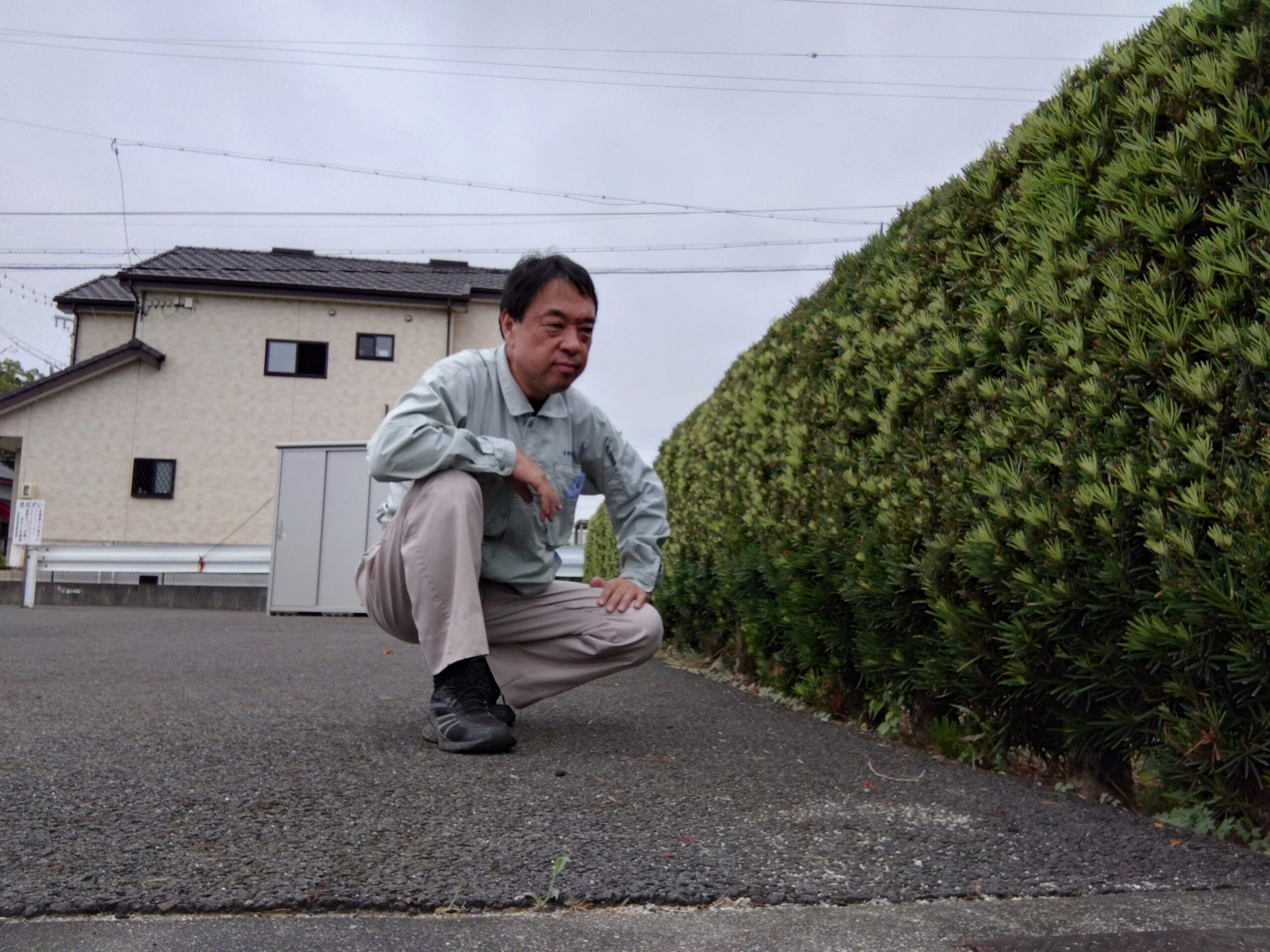 類は友を呼ぶ・・・ってか？|まほろば建築工房